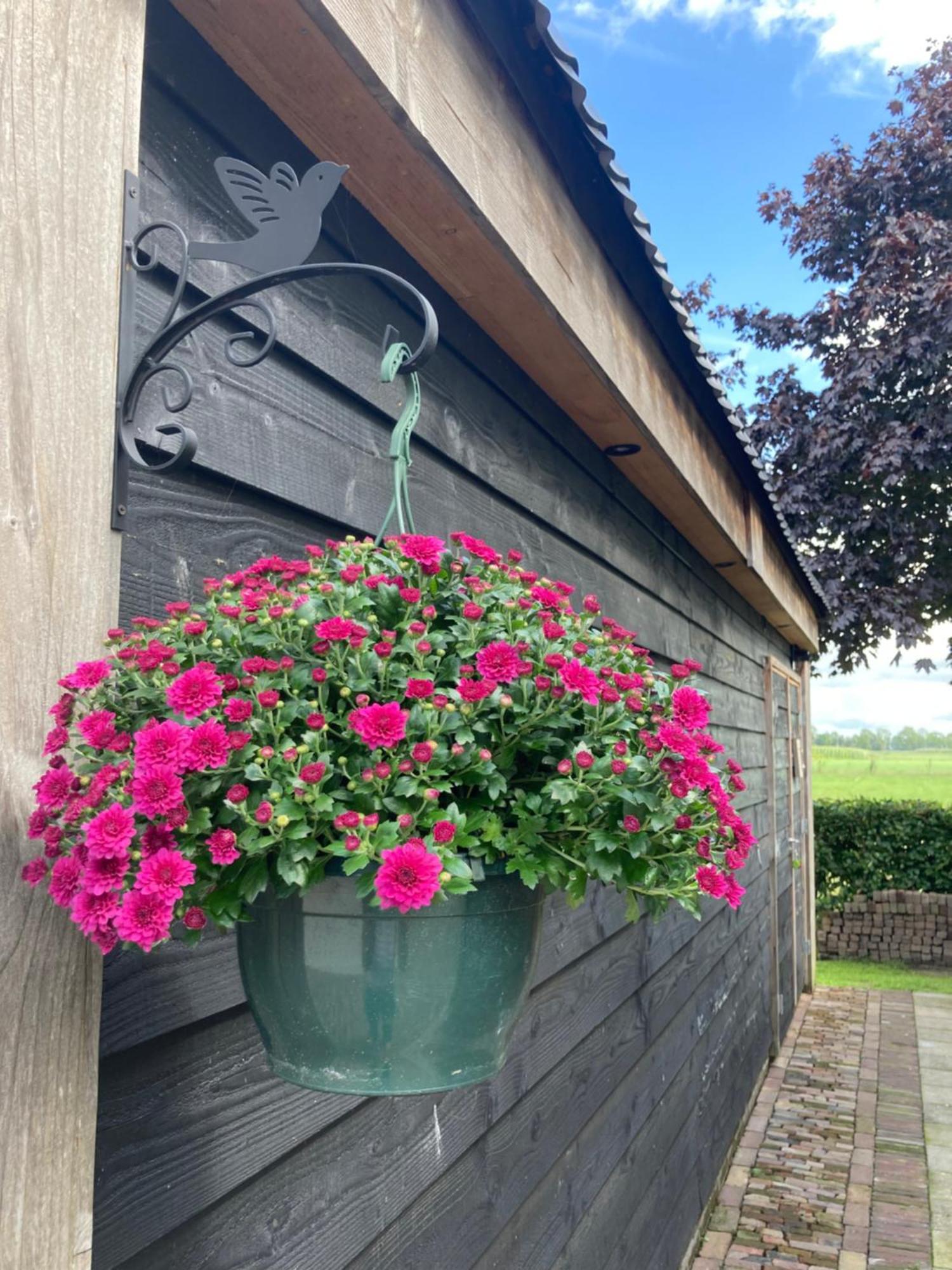 Villa De Barg Vinkenbuurt Esterno foto